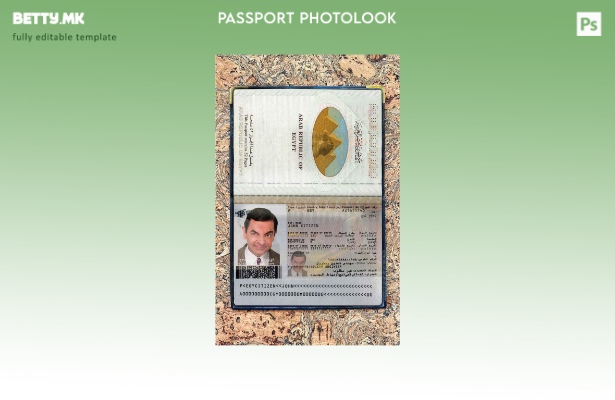 Шаблон за изглед на фотографија од пасош во Египет во модерен стил